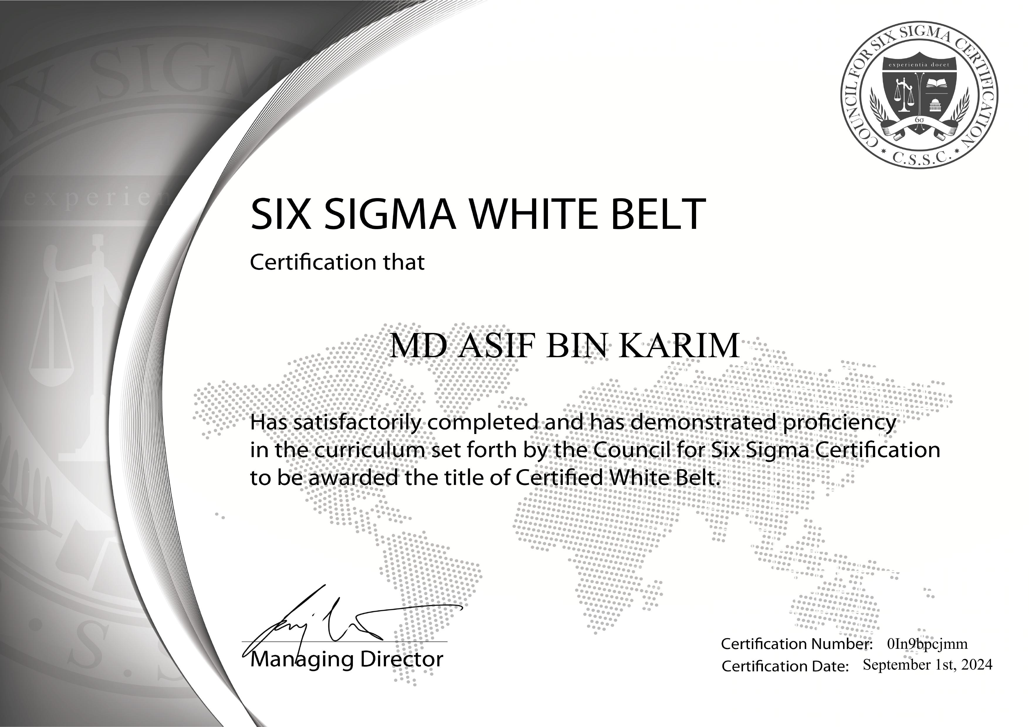 Six Sigma White Belt